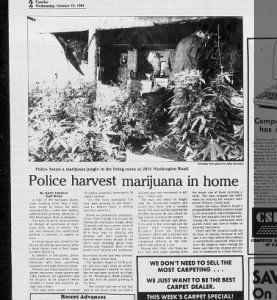 Weed house weed bust